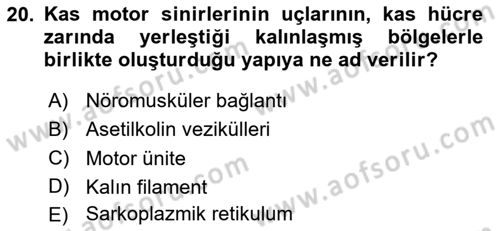 Temel Veteriner Fizyoloji Dersi 2024 - 2025 Yılı (Final) Dönem Sonu Sınav Soruları 20. Soru