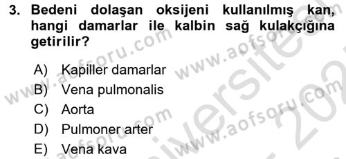 Temel Veteriner Fizyoloji Dersi 2024 - 2025 Yılı (Final) Dönem Sonu Sınav Soruları 3. Soru
