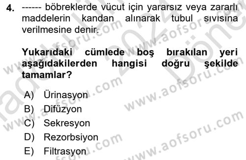 Temel Veteriner Fizyoloji Dersi 2024 - 2025 Yılı (Final) Dönem Sonu Sınav Soruları 4. Soru