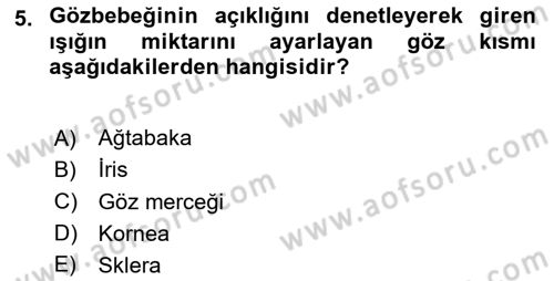 Temel Veteriner Fizyoloji Dersi 2024 - 2025 Yılı (Final) Dönem Sonu Sınav Soruları 5. Soru