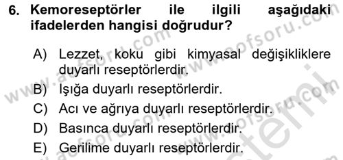Temel Veteriner Fizyoloji Dersi 2024 - 2025 Yılı (Final) Dönem Sonu Sınav Soruları 6. Soru