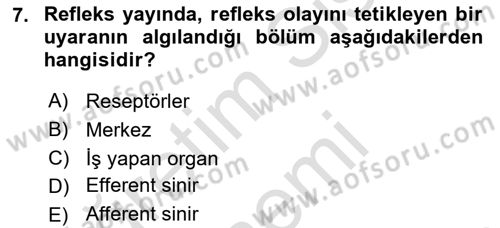 Temel Veteriner Fizyoloji Dersi 2024 - 2025 Yılı (Final) Dönem Sonu Sınav Soruları 7. Soru