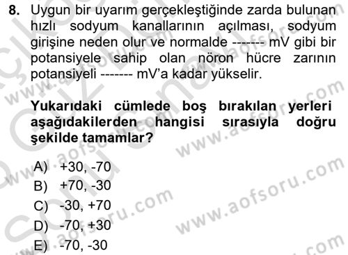 Temel Veteriner Fizyoloji Dersi 2024 - 2025 Yılı (Final) Dönem Sonu Sınav Soruları 8. Soru