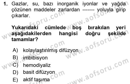 Temel Veteriner Fizyoloji Dersi 2025 - 2026 Yılı (Vize) Ara Sınav Soruları 1. Soru