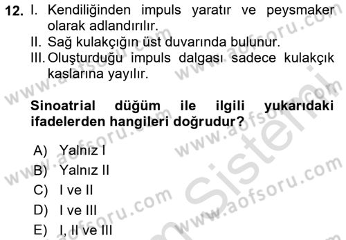 Temel Veteriner Fizyoloji Dersi 2025 - 2026 Yılı (Vize) Ara Sınav Soruları 12. Soru
