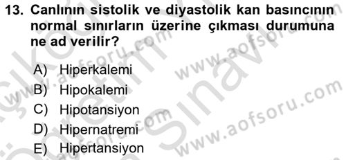 Temel Veteriner Fizyoloji Dersi 2025 - 2026 Yılı (Vize) Ara Sınav Soruları 13. Soru