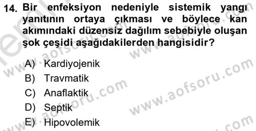 Temel Veteriner Fizyoloji Dersi 2025 - 2026 Yılı (Vize) Ara Sınav Soruları 14. Soru