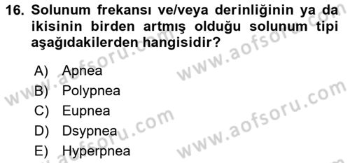 Temel Veteriner Fizyoloji Dersi 2025 - 2026 Yılı (Vize) Ara Sınav Soruları 16. Soru
