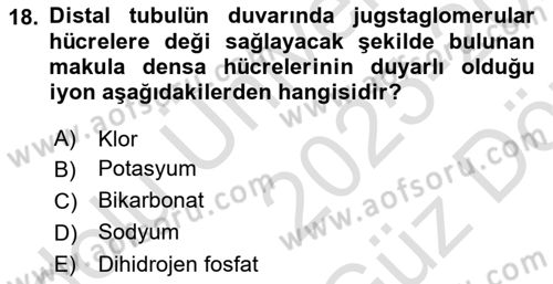 Temel Veteriner Fizyoloji Dersi 2025 - 2026 Yılı (Vize) Ara Sınav Soruları 18. Soru