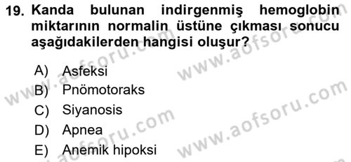 Temel Veteriner Fizyoloji Dersi 2025 - 2026 Yılı (Vize) Ara Sınav Soruları 19. Soru