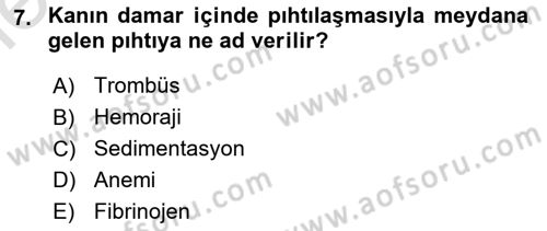 Temel Veteriner Fizyoloji Dersi 2025 - 2026 Yılı (Vize) Ara Sınav Soruları 7. Soru