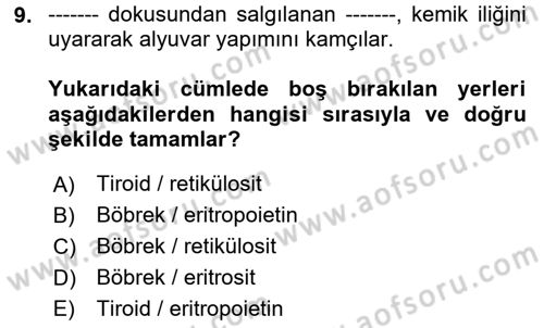 Temel Veteriner Fizyoloji Dersi 2025 - 2026 Yılı (Vize) Ara Sınav Soruları 9. Soru