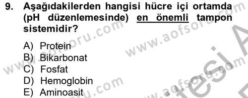 Veteriner Laboratuvar Teknikleri ve Prensipleri Dersi 2012 - 2013 Yılı (Vize) Ara Sınav Soruları 9. Soru