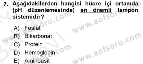 Veteriner Laboratuvar Teknikleri ve Prensipleri Dersi 2015 - 2016 Yılı (Vize) Ara Sınav Soruları 7. Soru
