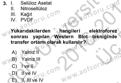 Veteriner Laboratuvar Teknikleri ve Prensipleri Dersi 2016 - 2017 Yılı 3 Ders Sınav Soruları 3. Soru