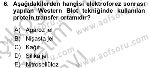 Veteriner Laboratuvar Teknikleri ve Prensipleri Dersi 2016 - 2017 Yılı 3 Ders Sınav Soruları 6. Soru