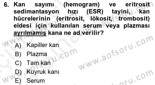 Veteriner Laboratuvar Teknikleri ve Prensipleri Dersi 2017 - 2018 Yılı 3 Ders Sınav Soruları 6. Soru