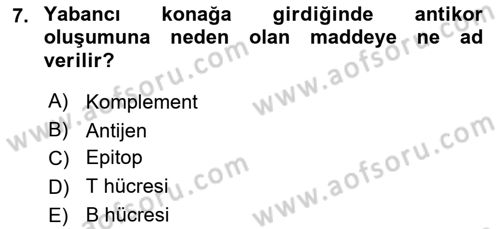 Veteriner Laboratuvar Teknikleri ve Prensipleri Dersi 2018 - 2019 Yılı 3 Ders Sınav Soruları 7. Soru