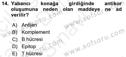 Veteriner Laboratuvar Teknikleri ve Prensipleri Dersi 2018 - 2019 Yılı (Final) Dönem Sonu Sınav Soruları 14. Soru