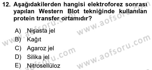 Veteriner Laboratuvar Teknikleri ve Prensipleri Dersi 2020 - 2021 Yılı Yaz Okulu Sınav Soruları 12. Soru