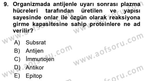 Veteriner Laboratuvar Teknikleri ve Prensipleri Dersi 2020 - 2021 Yılı Yaz Okulu Sınav Soruları 9. Soru