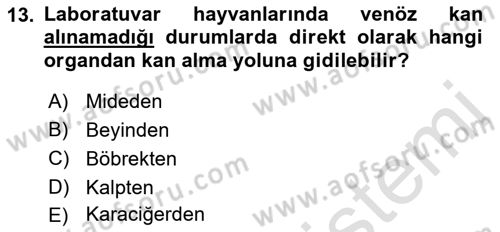 Veteriner Laboratuvar Teknikleri ve Prensipleri Dersi 2021 - 2022 Yılı (Final) Dönem Sonu Sınav Soruları 13. Soru