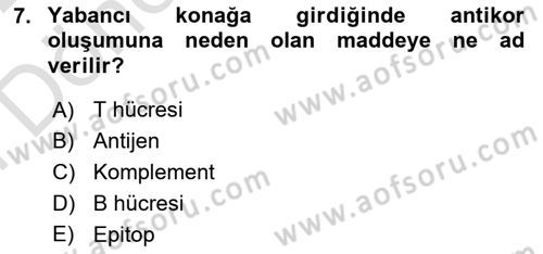 Veteriner Laboratuvar Teknikleri ve Prensipleri Dersi 2021 - 2022 Yılı (Final) Dönem Sonu Sınav Soruları 7. Soru
