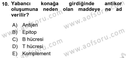 Veteriner Laboratuvar Teknikleri ve Prensipleri Dersi 2022 - 2023 Yılı Yaz Okulu Sınav Soruları 10. Soru