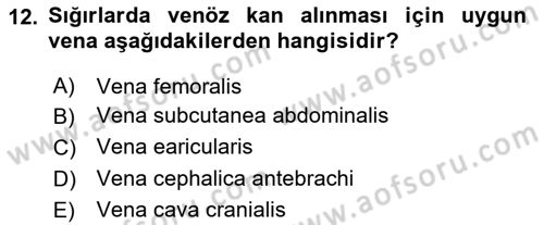 Veteriner Laboratuvar Teknikleri ve Prensipleri Dersi 2023 - 2024 Yılı (Final) Dönem Sonu Sınav Soruları 12. Soru
