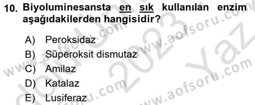 Veteriner Laboratuvar Teknikleri ve Prensipleri Dersi 2023 - 2024 Yılı Yaz Okulu Sınav Soruları 10. Soru