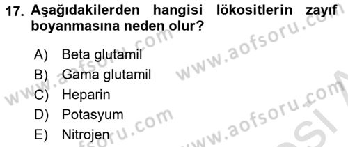 Veteriner Laboratuvar Teknikleri ve Prensipleri Dersi 2023 - 2024 Yılı Yaz Okulu Sınav Soruları 17. Soru
