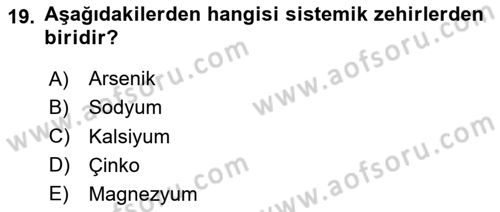Veteriner Laboratuvar Teknikleri ve Prensipleri Dersi 2024 - 2025 Yılı (Final) Dönem Sonu Sınav Soruları 19. Soru