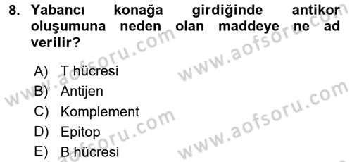 Veteriner Laboratuvar Teknikleri ve Prensipleri Dersi 2024 - 2025 Yılı (Final) Dönem Sonu Sınav Soruları 8. Soru