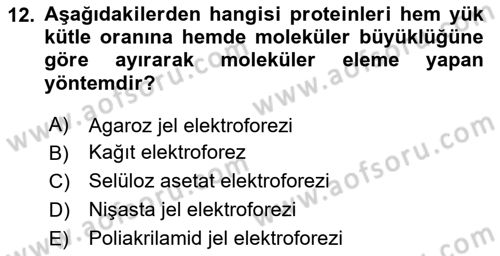 Veteriner Laboratuvar Teknikleri ve Prensipleri Dersi 2024 - 2025 Yılı Yaz Okulu Sınav Soruları 12. Soru