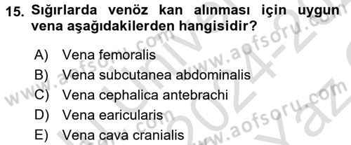 Veteriner Laboratuvar Teknikleri ve Prensipleri Dersi 2024 - 2025 Yılı Yaz Okulu Sınav Soruları 15. Soru