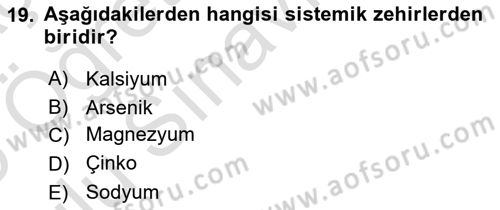 Veteriner Laboratuvar Teknikleri ve Prensipleri Dersi 2024 - 2025 Yılı Yaz Okulu Sınav Soruları 19. Soru