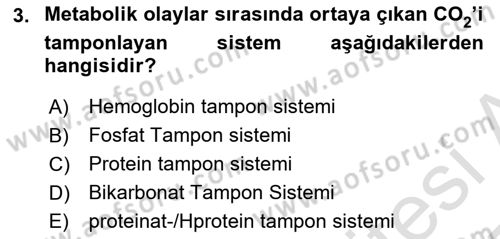 Veteriner Laboratuvar Teknikleri ve Prensipleri Dersi 2024 - 2025 Yılı Yaz Okulu Sınav Soruları 3. Soru