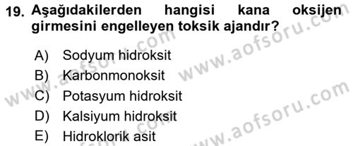 Veteriner Laboratuvar Teknikleri ve Prensipleri Dersi 2025 - 2026 Yılı (Final) Dönem Sonu Sınav Soruları 19. Soru