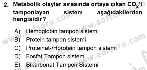 Veteriner Laboratuvar Teknikleri ve Prensipleri Dersi 2025 - 2026 Yılı (Final) Dönem Sonu Sınav Soruları 2. Soru