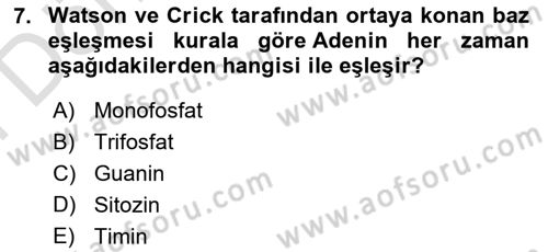 Veteriner Laboratuvar Teknikleri ve Prensipleri Dersi 2025 - 2026 Yılı (Final) Dönem Sonu Sınav Soruları 7. Soru