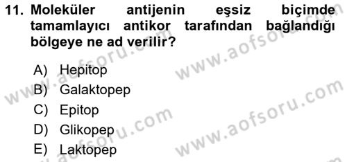 Veteriner Laboratuvar Teknikleri ve Prensipleri Dersi 2025 - 2026 Yılı Yaz Okulu Sınav Soruları 11. Soru