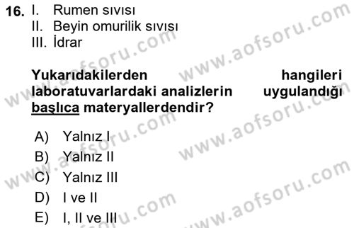 Veteriner Laboratuvar Teknikleri ve Prensipleri Dersi 2025 - 2026 Yılı Yaz Okulu Sınav Soruları 16. Soru
