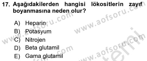 Veteriner Laboratuvar Teknikleri ve Prensipleri Dersi 2025 - 2026 Yılı Yaz Okulu Sınav Soruları 17. Soru