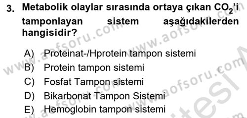 Veteriner Laboratuvar Teknikleri ve Prensipleri Dersi 2025 - 2026 Yılı Yaz Okulu Sınav Soruları 3. Soru