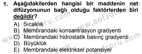Hücre Kimyası Dersi 2012 - 2013 Yılı (Vize) Ara Sınav Soruları 1. Soru