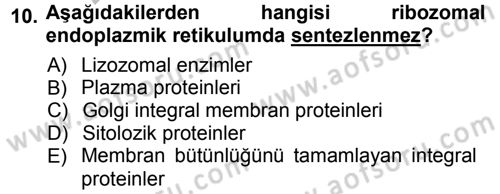 Hücre Kimyası Dersi 2012 - 2013 Yılı (Vize) Ara Sınav Soruları 10. Soru