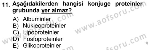 Hücre Kimyası Dersi 2012 - 2013 Yılı (Vize) Ara Sınav Soruları 11. Soru