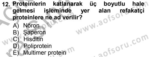 Hücre Kimyası Dersi 2012 - 2013 Yılı (Vize) Ara Sınav Soruları 12. Soru
