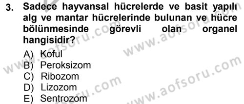 Hücre Kimyası Dersi 2012 - 2013 Yılı (Vize) Ara Sınav Soruları 3. Soru