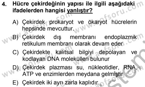 Hücre Kimyası Dersi 2012 - 2013 Yılı (Vize) Ara Sınav Soruları 4. Soru